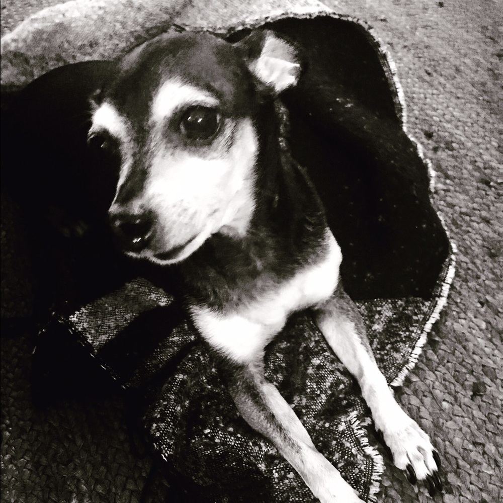 Meet your Posher, Feather