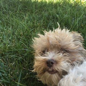 Meet your Posher, Megan