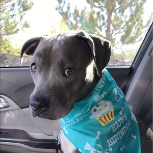 Meet your Posher, Diane