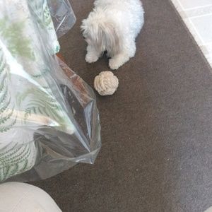 Meet your Posher, Patricia