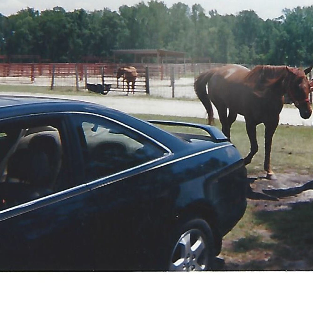 Meet your Posher, Samantha