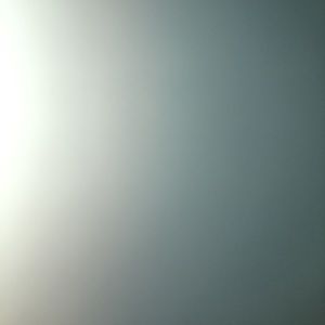 Meet your Posher, Zane