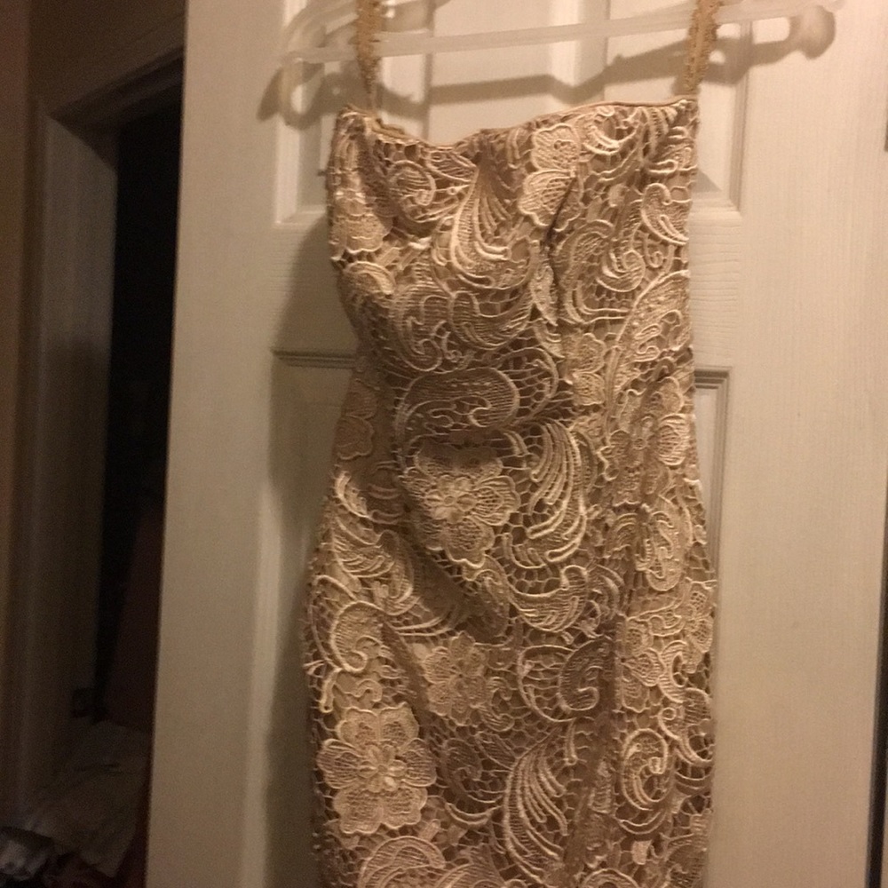 NWOT Adrianna Papell Dress