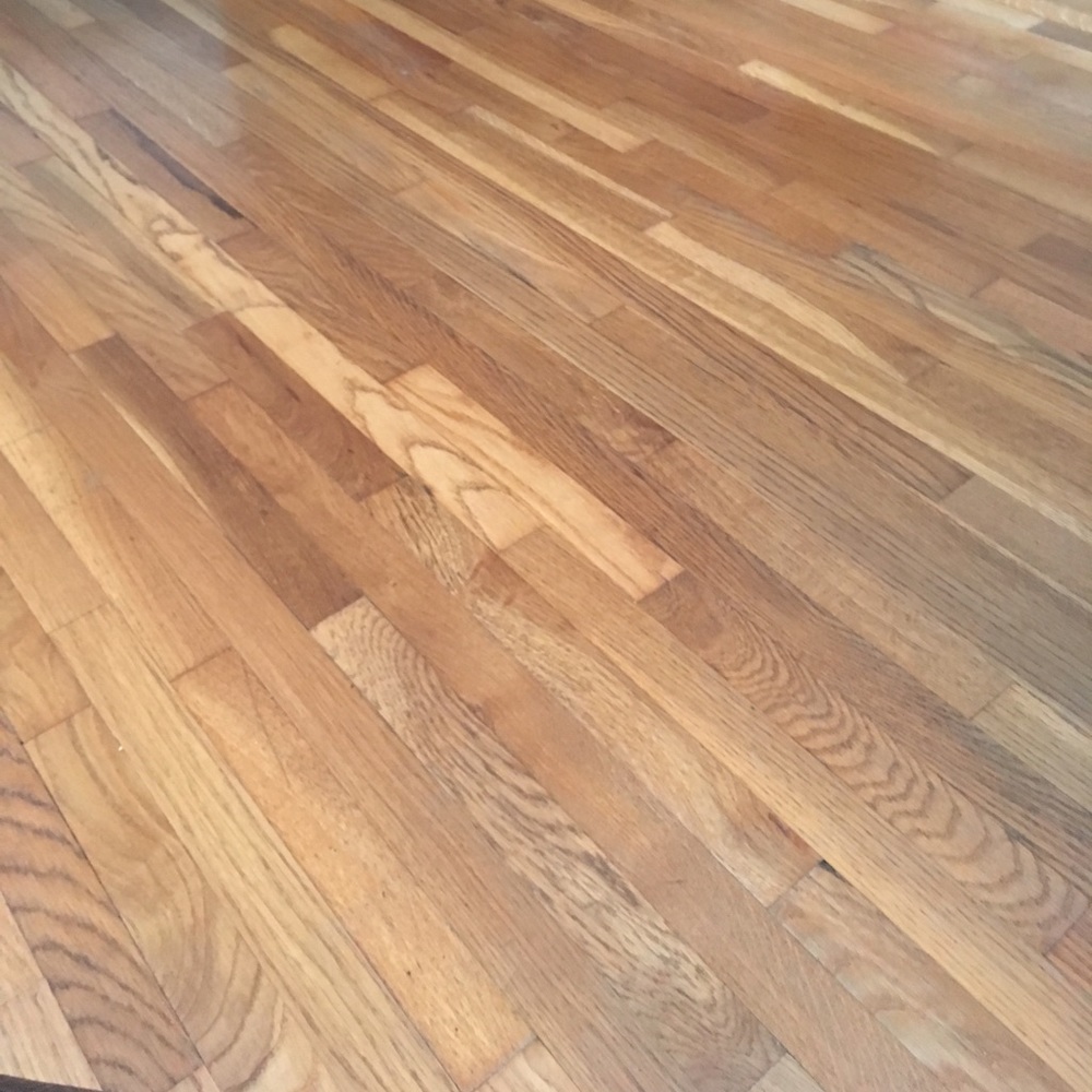 Meet your Posher, Isabel