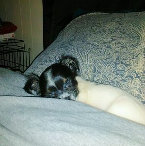 Meet your Posher, Jeana