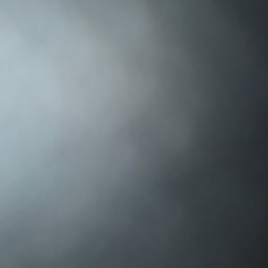 Meet your Posher, Gavin