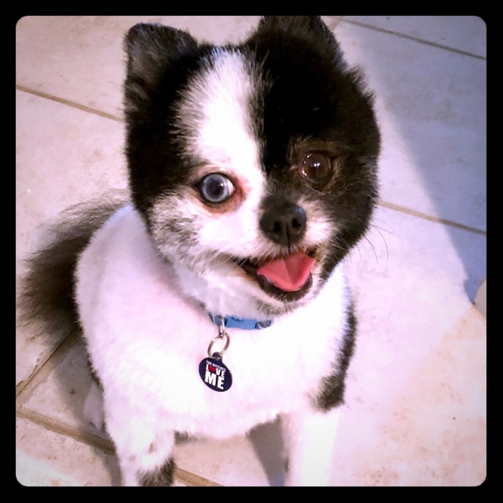 Make Me An Offer :-)