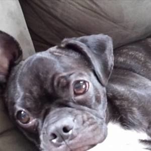 Meet your Posher, Jodi