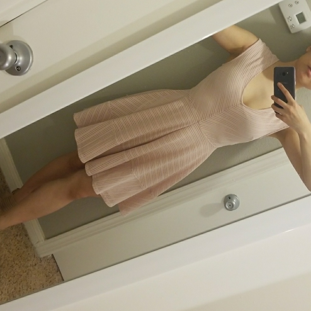Blush Bar III fit and flare dress