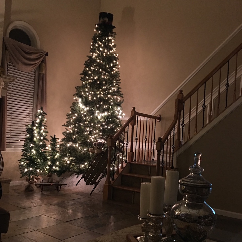 Meet your Posher, Barb