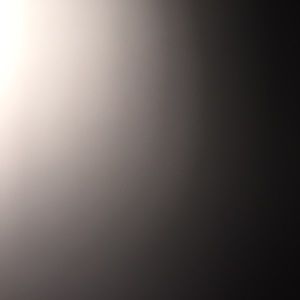 Meet your Posher, Jasmin