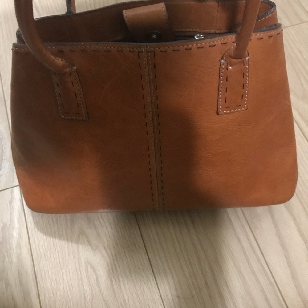 Purse fossil