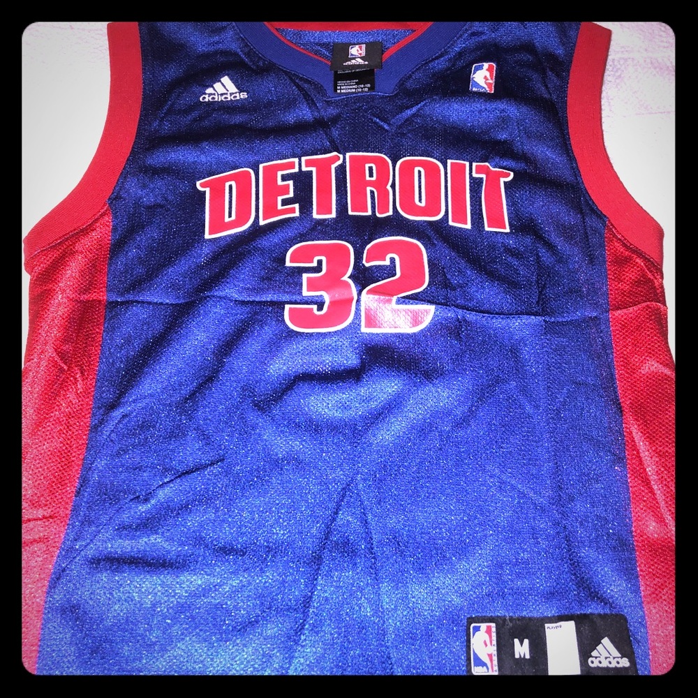 Richard Hamilton NBA JERSEY
