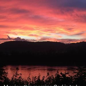 Meet your Posher, Larry