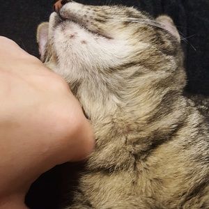 Meet your Posher, Jackie