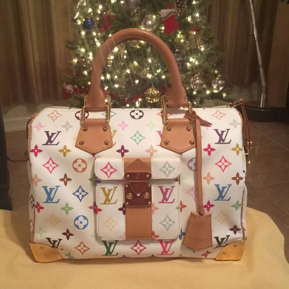 Louis Vuitton Multicolored Speedy