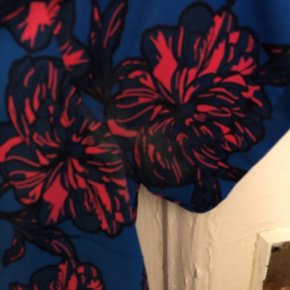 J Crew Dress - Picture 3 of 3