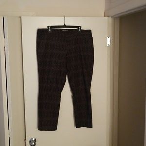 Dalia Modern Fit Dress Pants (Plus)