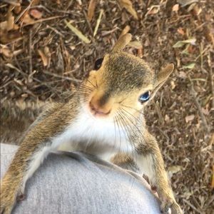 Meet your Posher, Luisa