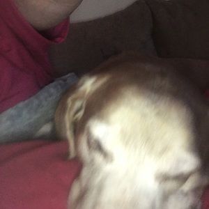 Meet your Posher, Diana