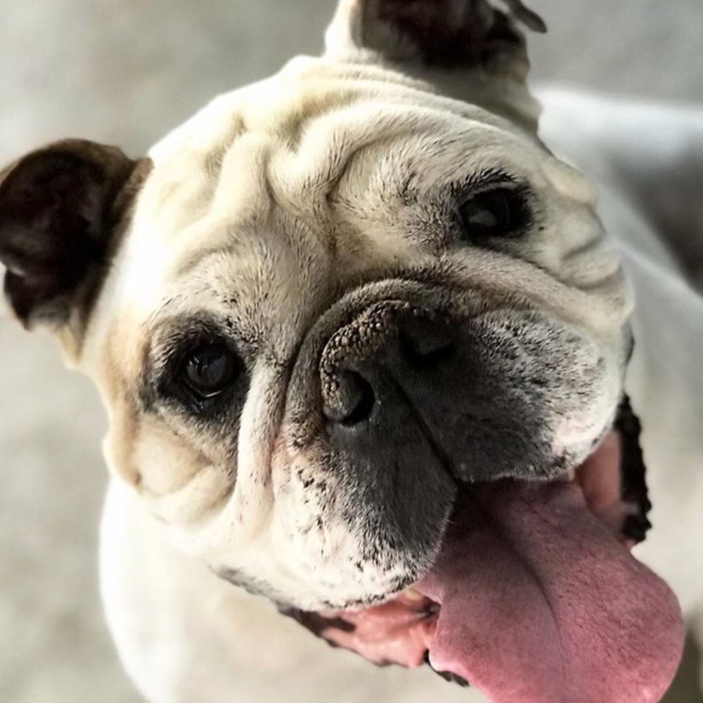 Meet your Posher, Kim