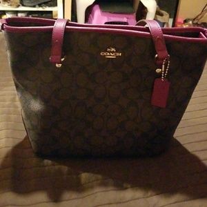 Violet Coach bag