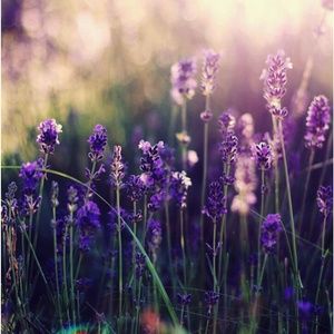 Meet your Posher, Karisa