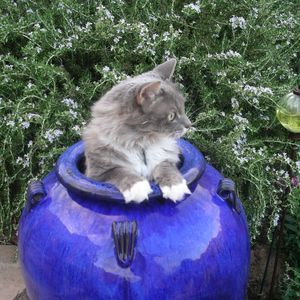 Meet your Posher, Bonnie