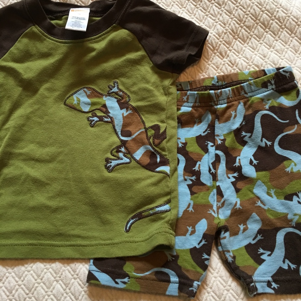 Like new boys lizard 2pc pajamas