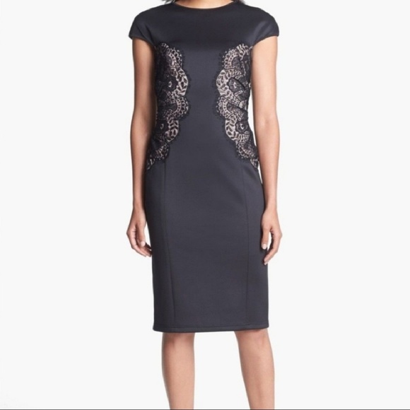 Tadashi Shoji Dresses & Skirts - Tadashi Shoji lace panel dress