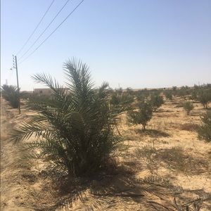 Meet your Posher, Yun