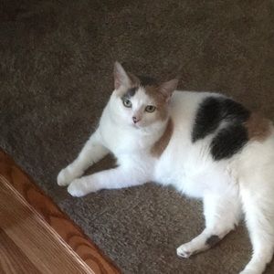 Meet your Posher, Ali