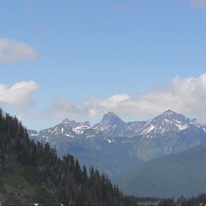 Meet your Posher, Trevor