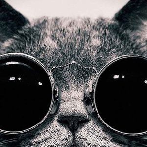 Meet your Posher, Garrett