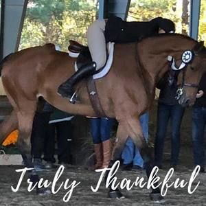 Meet your Posher, Madison