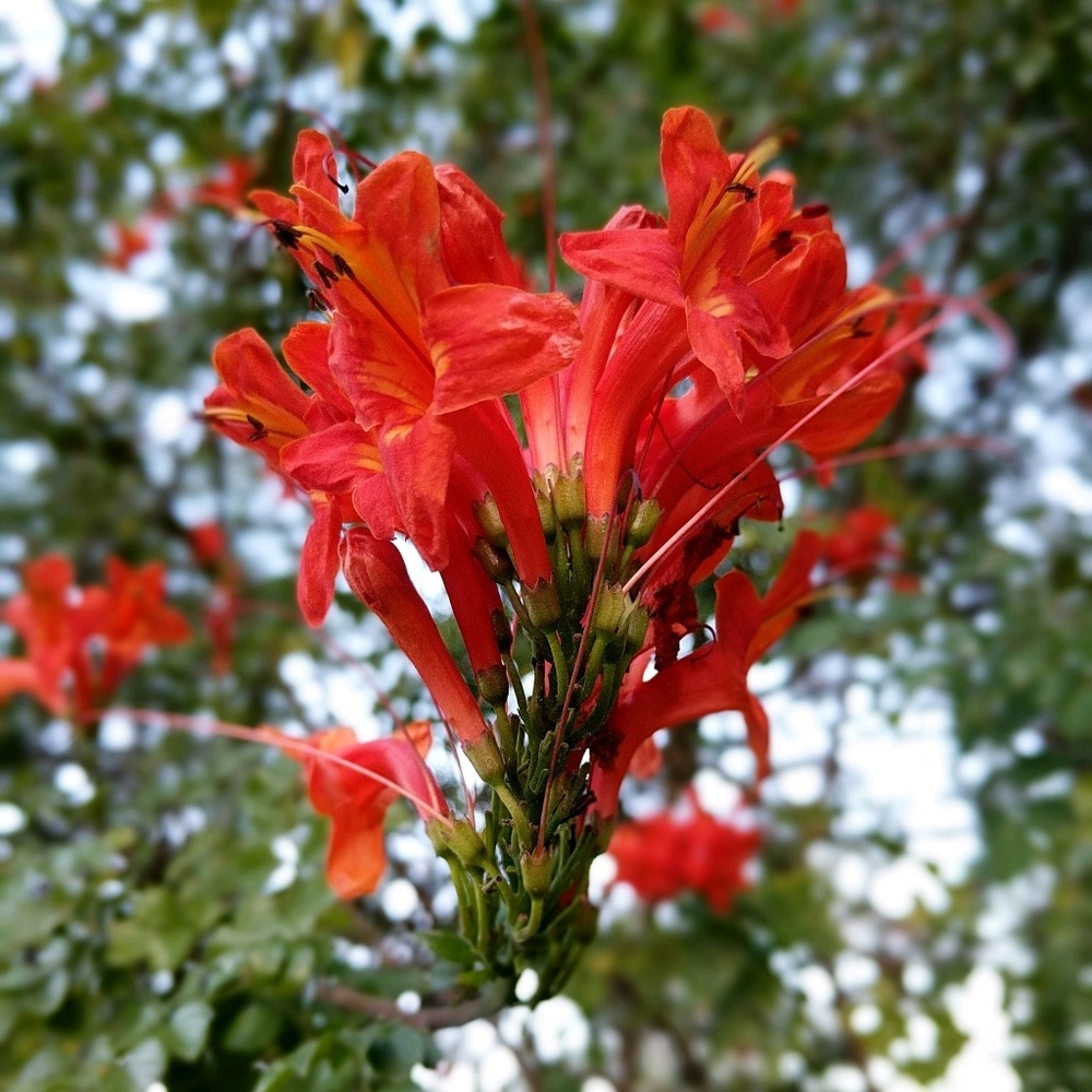 Meet your Posher, Mirna