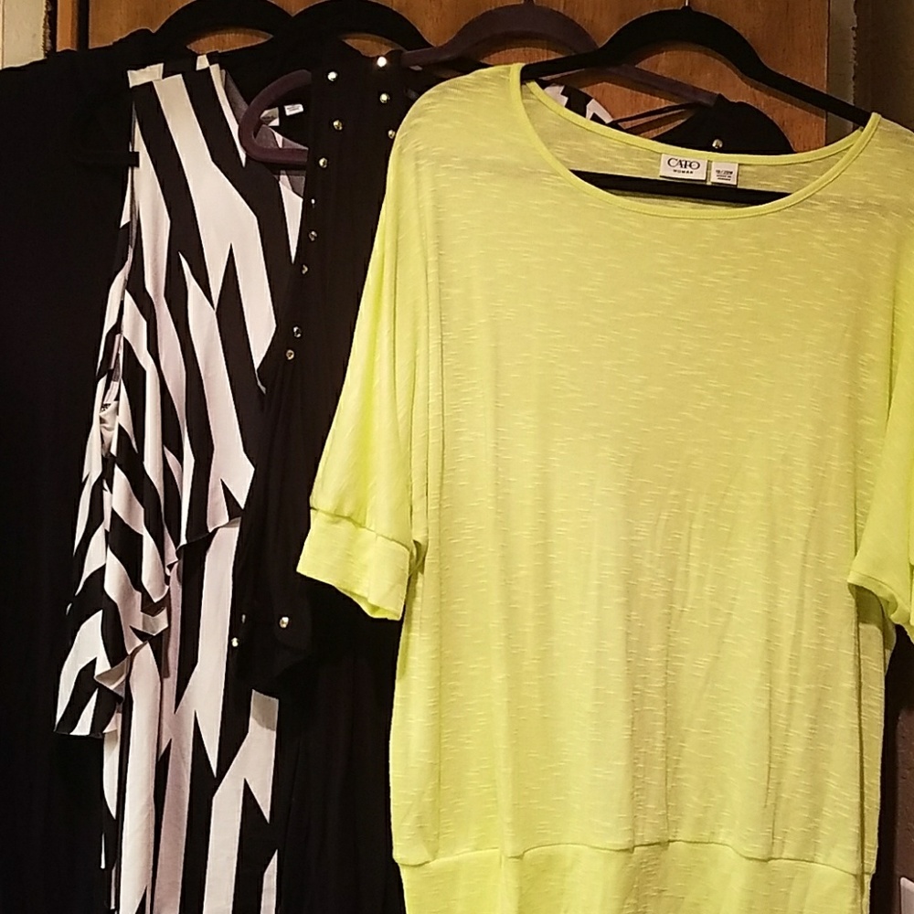 4 size 2X tops for 1 price