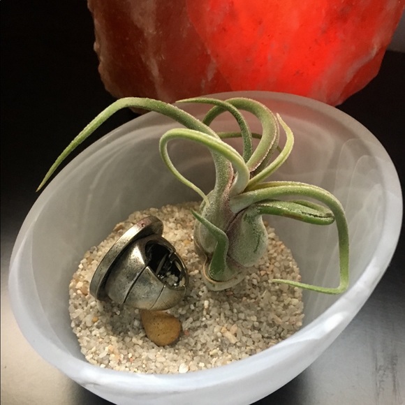 Statement Ring - Picture 2 of 3