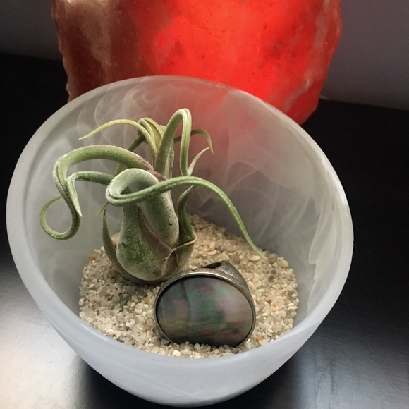 Statement Ring - Picture 3 of 3