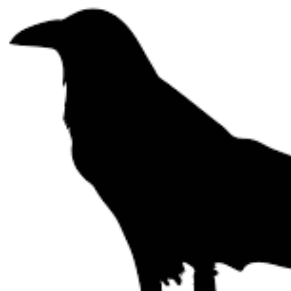 Meet your Posher, TheChicRaven!