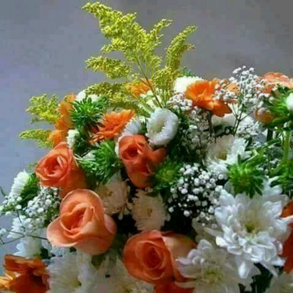 Meet your Posher, Felecia