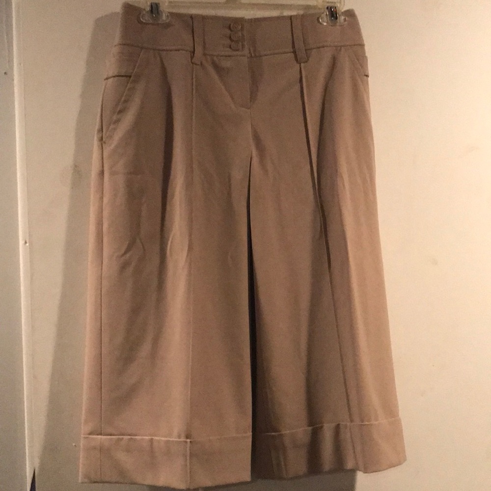 Ann Taylor pants