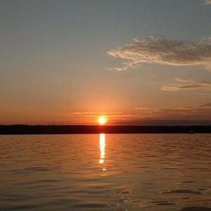 Meet your Posher, Jodie