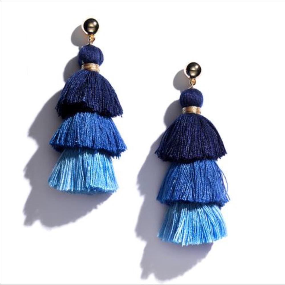 Ombré tassel earrings!  Brand new!
