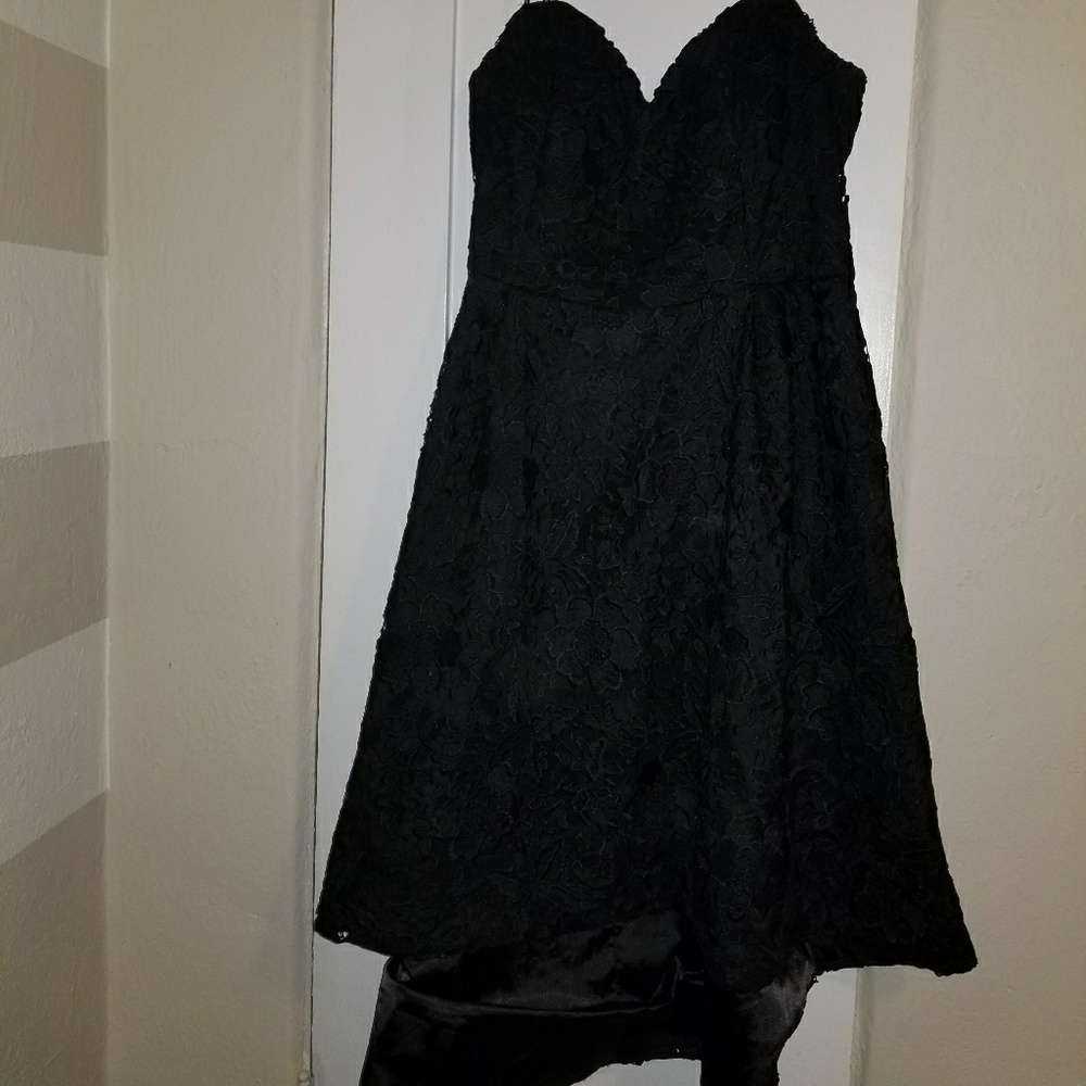 City Chic Clara Lace Fit and Flare Dress - Picture 3 of 3