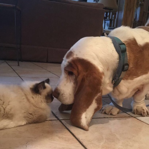 Meet your Posher, Christine - Picture 1 of 1