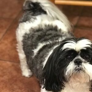 Meet your Posher, Carrie