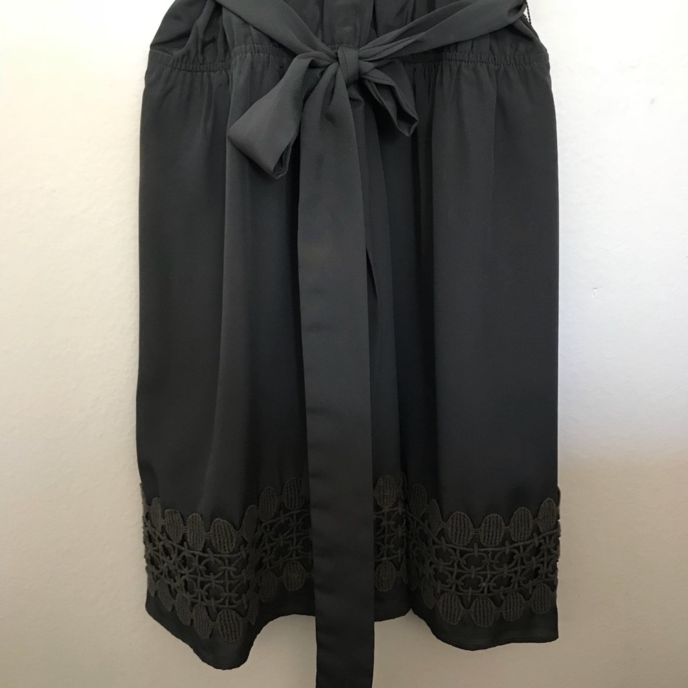 Express Dress - Picture 3 of 4