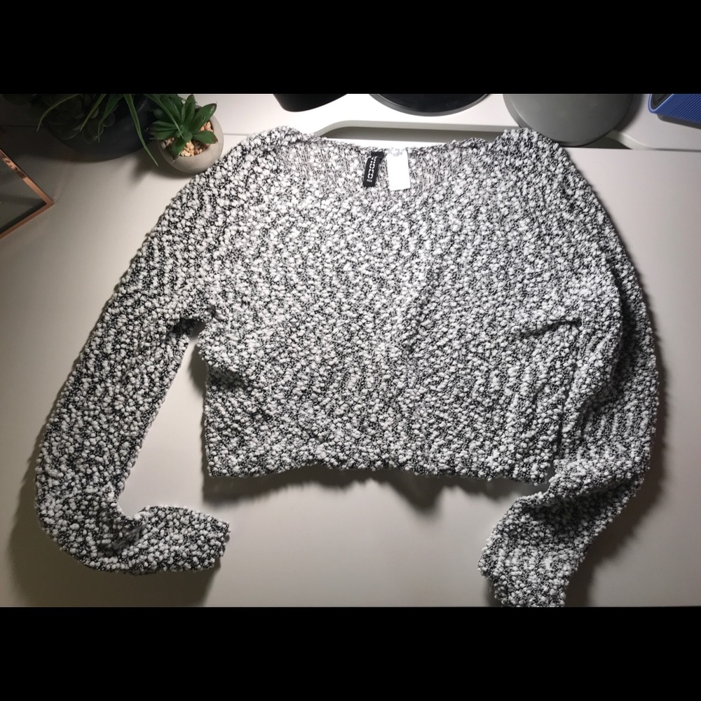 plush H&M cropped sweater