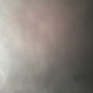 Meet your Posher, Brynlie